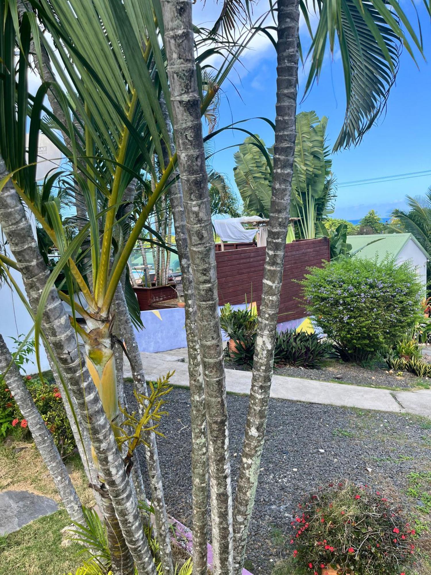 Apartamento Les Algues De La Chapelle Anse-Bertrand Exterior foto